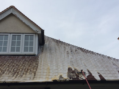 Softwash Roof Cleaning in Newport, Shropshire