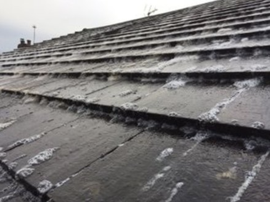 Telford Roof Cleaning 