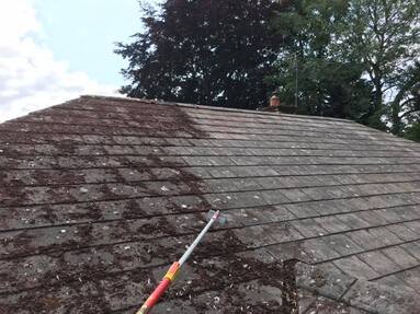 roof moss removal 