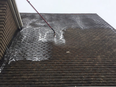 Brightroof Roof Cleaning Specialists